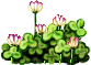 A pile of flowers