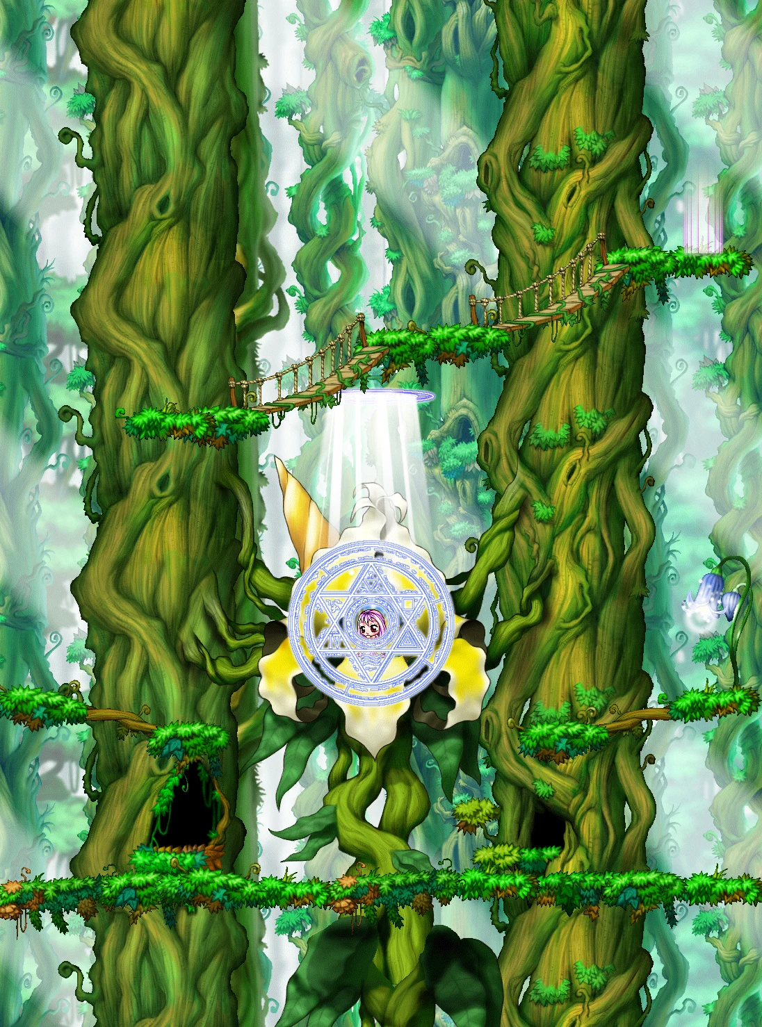 Marr's Forest map layout