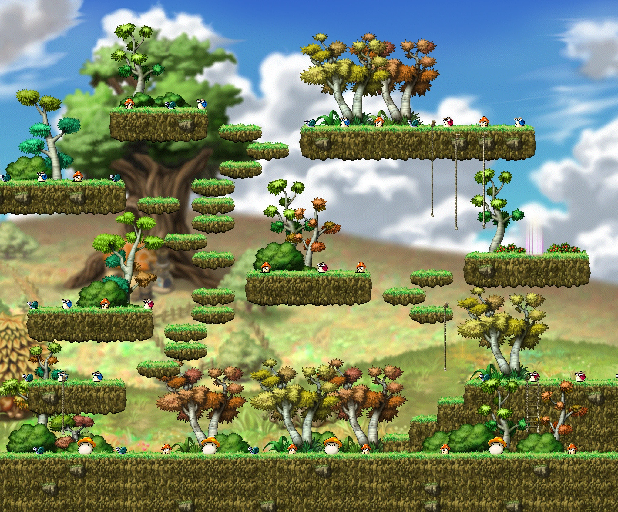 In a Small Forest map layout