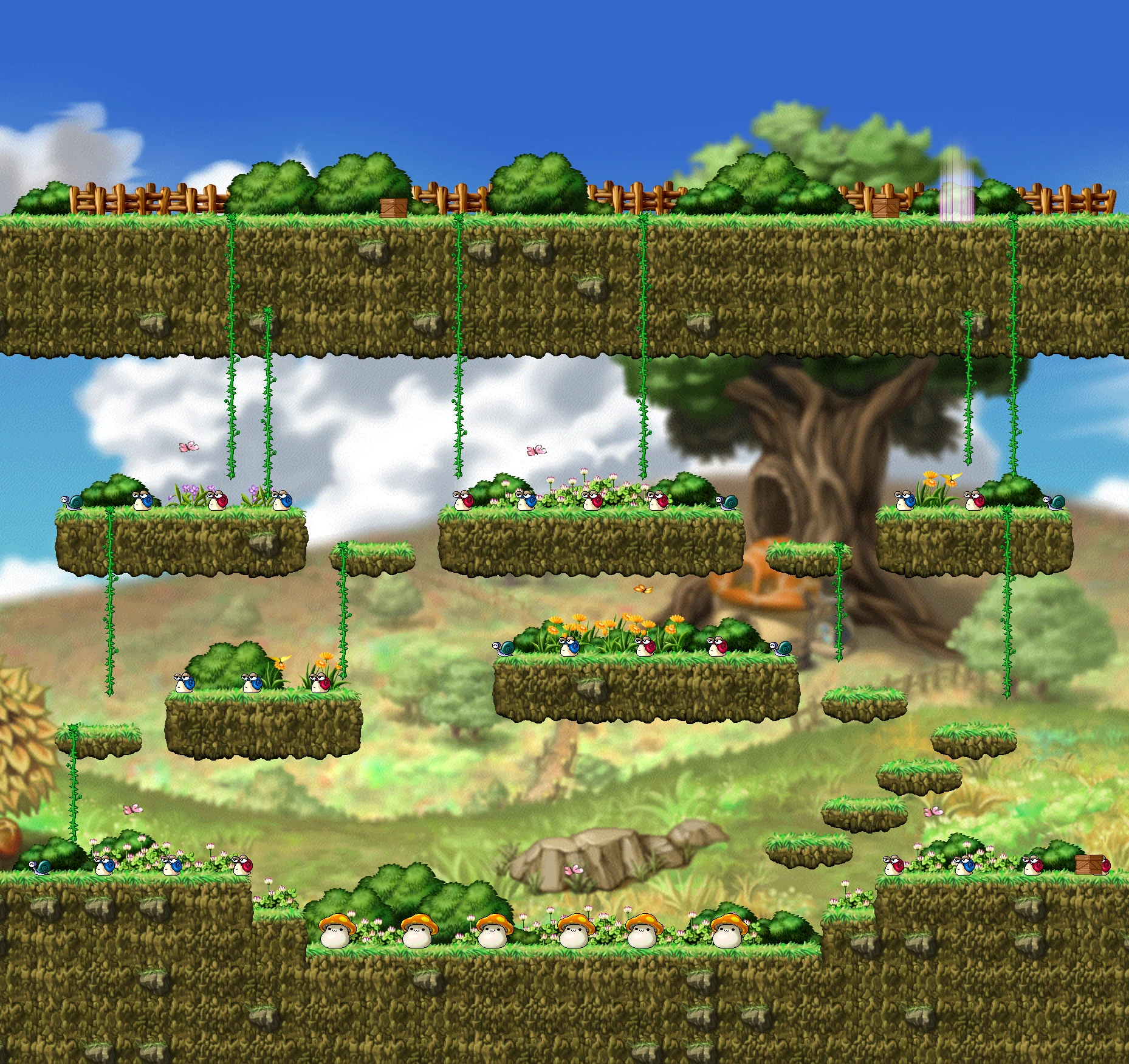 Snail Field of Flowers map layout