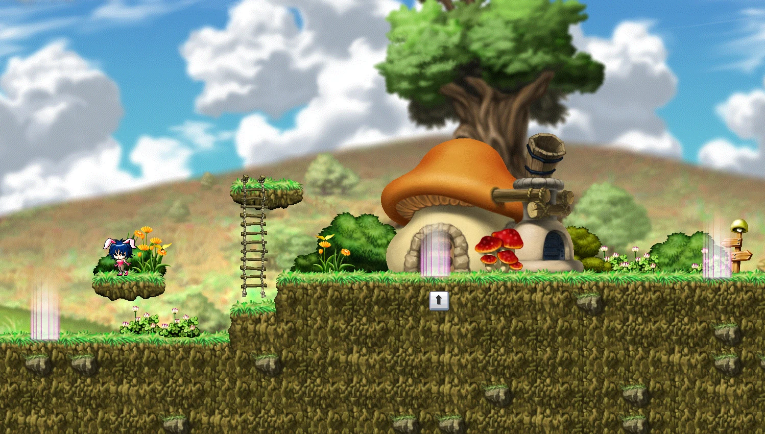 Mushroom Town map layout